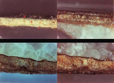 Composizione di Microfotografie