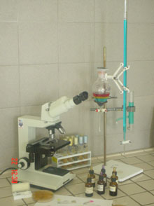Microscopio