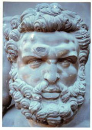Dettaglio della Testa - Prima