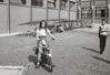 Nome File=1973- Ballestrazzi cristina in motorino.jpg
Peso File=385KB
Dimensioni=1218x837
Data inserimento=Nov 24, 2007 1973- Ballestrazzi cristina in motorino.jpg